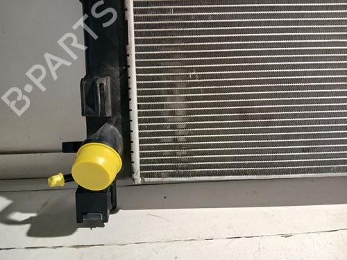 Water radiator DACIA SANDERO II | BP37018978M31 - Image 2