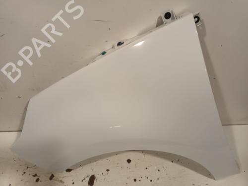 Used Left front fenders RENAULT SCÉNIC III (JZ0/1_) 1.5 dCi (106 hp) 21499885