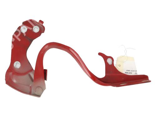 Hinge/Door check strap FIAT 500 (312_) 1.3 D Multijet (312AXE1A) | BP24167607C146