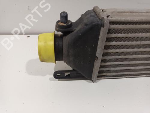 Intercooler FIAT DOBLO Cargo (263_) 1.6 D Multijet (263WXN1B, 263ZXN1B, 263ZXV1B, 263WXV1B,... | BP38106082M30 - Image 2