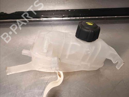 Expansion tank RENAULT GRAND SCÉNIC III (JZ0/1_) 1.5 dCi (JZ09, JZ0D, JZ10, JZ14, JZ1G, JZ29, JZ2C) | BP21139112C120 