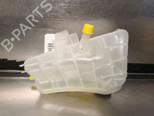 Expansion tank RENAULT KANGOO Express (FW0/1_) Z.E. (FW0Z, FW1Z) | BP21139110C120 