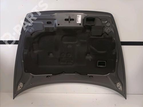 Hood VOLVO C30 (533) D5 | BP9546253C1 