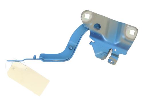 Used Hinge/Door check strap RENAULT ZOE (BFM_) ZOE (BFMD) (109 hp) 25134486