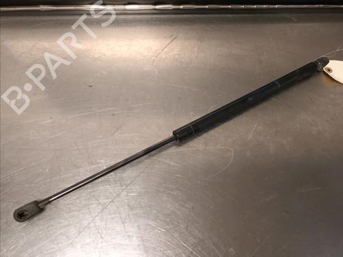 Used Tailgate lift support RENAULT SCÉNIC II (JM0/1_) 1.9 dCi (JM14) (131 hp) 14868091