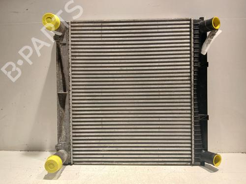 Used Intercooler LAND ROVER RANGE ROVER SPORT I (L320) 3.6 D 4x4 (272 hp) 20607632
