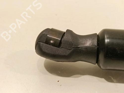 Tailgate lift support MERCEDES-BENZ M-CLASS (W164) ML 280 CDI 4-matic (164.120) | BP14949476C138 