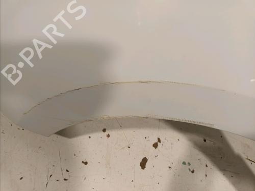 Left front fenders RENAULT KANGOO Express (FW0/1_) 1.5 dCi 90 (FW0G, FW05, FW08, FW11) | BP18123936C41 