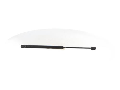 Tailgate lift support CITROËN C3 I (FC_, FN_) 1.4 HDi | BP28290024C138 