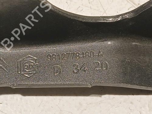 Hinge/Door check strap CITROËN C3 / C3 ORIGIN III (SX) 1.2 PureTech 82 | BP17909931C146 