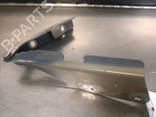 Hinge/Door check strap CITROËN C3 I (FC_, FN_) 1.4 i | BP14866065C146 