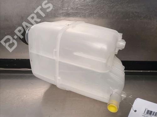 Expansion tank RENAULT KANGOO Express (FW0/1_) 1.5 dCi 85 (FW0K, FW0L, FW0B) | BP11031799C120 