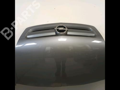 Motorhjelm OPEL SIGNUM Hatchback (Z03) 3.0 V6 CDTI (F48) | BP10052536C1 