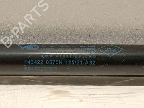 Tailgate lift support DACIA DUSTER (HS_)  | BP20605469C138 
