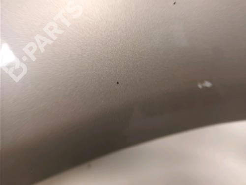 Left front fenders SKODA FABIA I Combi (6Y5) 1.4 TDI | BP10539007C41 