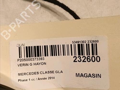 Tailgate lift support MERCEDES-BENZ GLA-CLASS (X156) GLA 220 CDI 4-matic (156.905) | BP16487050C138 
