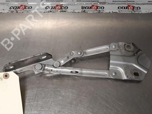 Hinge/Door check strap VW CADDY III MPV (2KB, 2KJ, 2CB, 2CJ) 1.9 TDI | BP14865849C146 