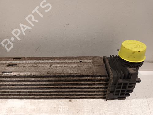Intercooler RENAULT MEGANE III Hatchback (BZ0/1_, B3_) 1.5 dCi (BZ0C) | BP29554390M30 