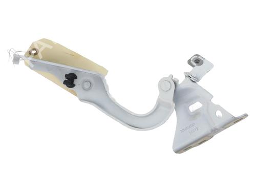Hinge/Door check strap RENAULT TRAFIC III Van (FG_)  | BP27587024C146 