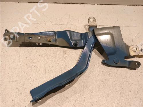 Hinge/Door check strap RENAULT CLIO IV (BH_) 1.5 dCi 90 | BP18731857C146 