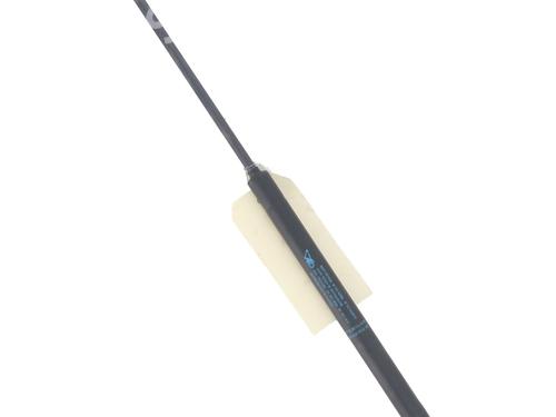Used Tailgate lift support CITROËN C3 I (FC_, FN_) 1.4 i (73 hp) 29875550