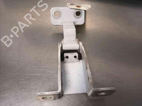 Hinge/Door check strap RENAULT KANGOO Express (FW0/1_)  | BP20603356C146 