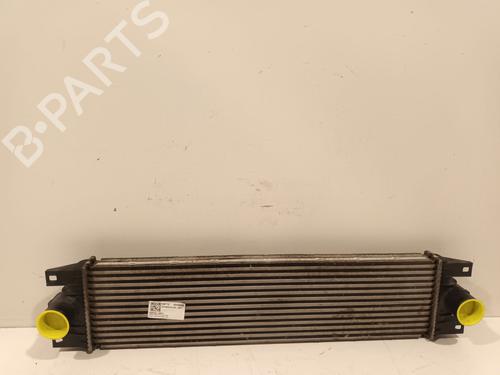 Used Intercooler Intercooler RENAULT MASTER II Van (FD) 2.5 dCi (FD02) (101 hp) 36035963 36035963