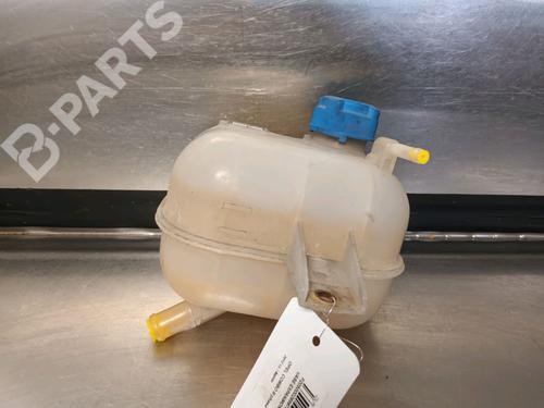 Used Expansion tank OPEL COMBO Box Body/MPV (X12) 1.3 CDTI (B05) (90 hp) 10051927