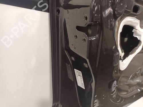 Left front door RENAULT MEGANE III Hatchback (BZ0/1_, B3_) 1.6 16V Hi-Flex (BZ03) | BP23647876C2 