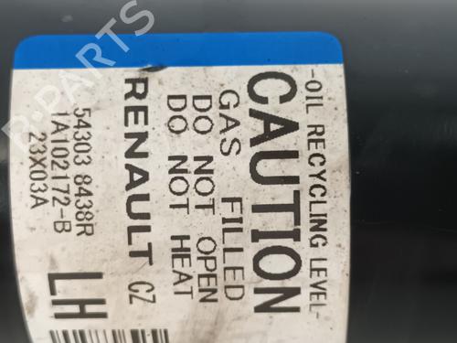 Left front shock absorber RENAULT SCENIC E-TECH PHASE I EV87 | BP31848020M16