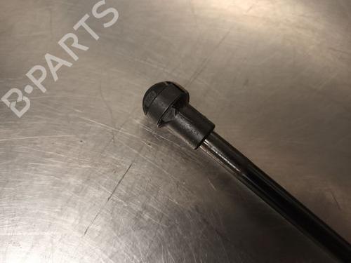 Tailgate lift support NISSAN MICRA V (K14)  | BP20601856C138