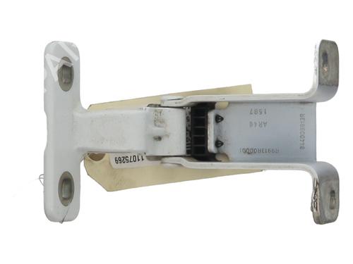 Hinge/Door check strap DACIA DOKKER MPV (KE_) 1.5 dCi / Blue dCi 75 (KEAJ, KEAH, KEJW) | BP27533710C146 
