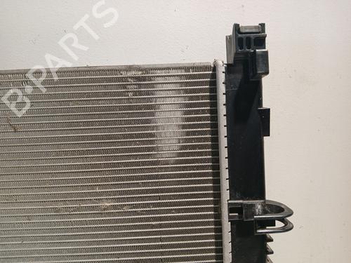 Water radiator DACIA SANDERO II | BP37018978M31 - Image 10