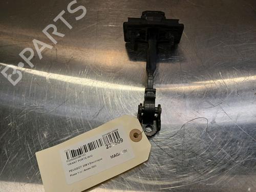 Hinge/Door check strap PEUGEOT 208 II (UB_, UP_, UW_, UJ_) e-208 | BP17514257C146 