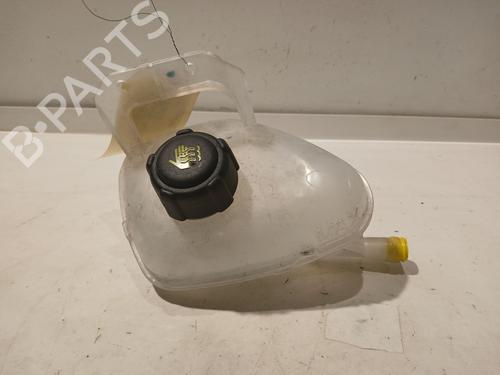 Expansion tank RENAULT SCENIC E-TECH PHASE I EV87 217105MZ0A