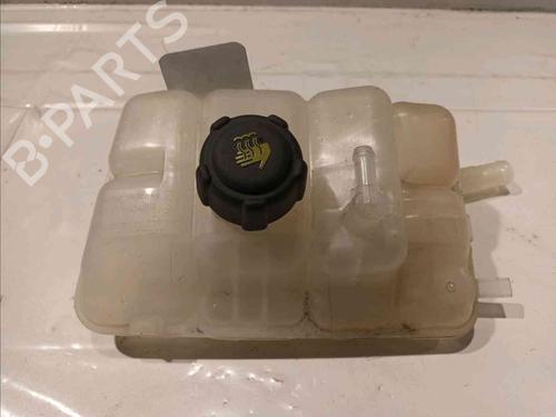 Used Expansion tank RENAULT ESPACE V (JR_) [2015-2023]  21801894