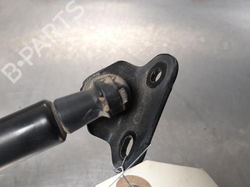 Tailgate lift support TOYOTA YARIS (_P13_) 1.4 D (NLP130_, NLP130) | BP14868282C138 