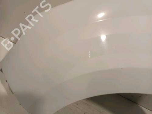 Left front fenders RENAULT KANGOO Express (FW0/1_) 1.5 dCi 85 (FW0K, FW0L, FW0B) | BP16155348C41 