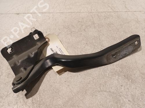 Hinge/Door check strap NISSAN QASHQAI I (J10, NJ10) 1.5 dCi | BP20606583C146 