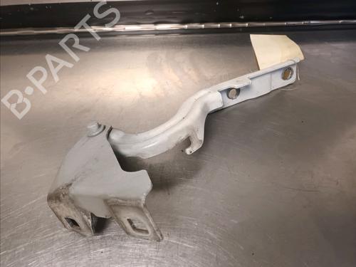 Hinge/Door check strap FIAT TIPO Hatchback (356_, 357_) 1.4 (356HXA1B, 357) | BP14865932C146 