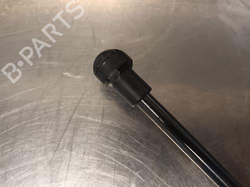 Tailgate lift support NISSAN MICRA V (K14)  | BP21139032C138