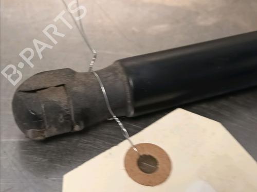 Tailgate lift support FORD FOCUS II (DA_, HCP, DP) 1.6 TDCi | BP14868059C138 