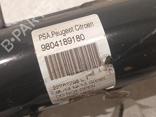 Left front shock absorber CITROËN C3 II (SC_) 1.6 VTi 120 | BP21782589M16 