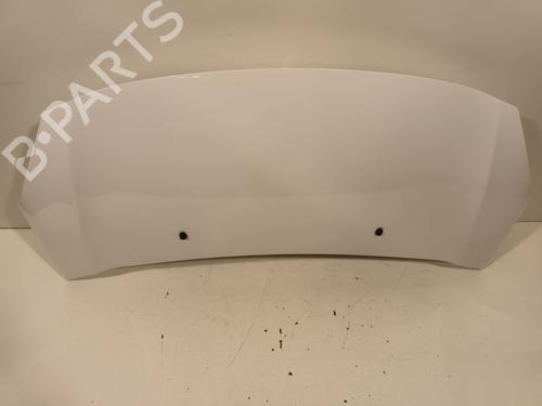 Hood CITROËN C3 II (SC_) 1.6 BlueHDi 100 | BP29820544C1