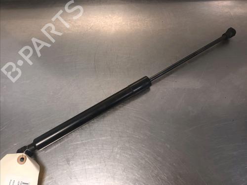 Used Hood lift support RENAULT MEGANE IV Grandtour (K9A/M/N_) 1.5 dCi 110 (110 hp) 14866201