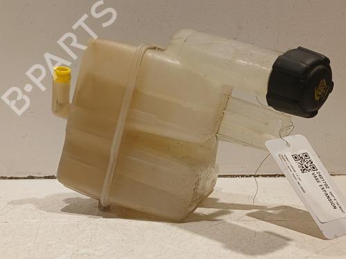Used Expansion tank RENAULT LAGUNA II (BG0/1_) 1.8 16V (BG04, BG0B, BG0C, BG0V) (117 hp) 20608939