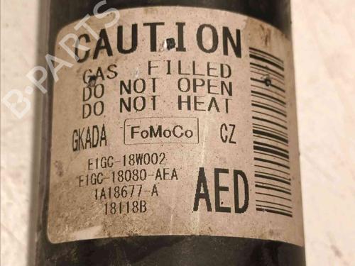 Right rear shock absorber FORD S-MAX (CJ, WA6)  | BP20605809M19 