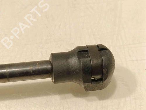 Hood lift support RENAULT EXPRESS Box Body/MPV  | BP20605240C139