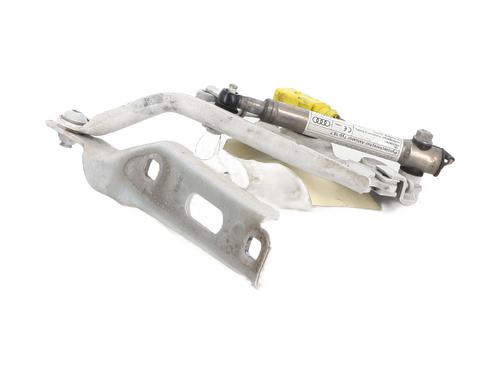 Hinge/Door check strap AUDI A3 (8V1, 8VK) S3 quattro | BP28418918C146 