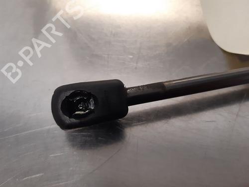 Hood lift support RENAULT MEGANE III Hatchback (BZ0/1_, B3_) 1.5 dCi (BZ09, BZ0D, BZ1W, BZ29, BZ14) | BP14866197C139 